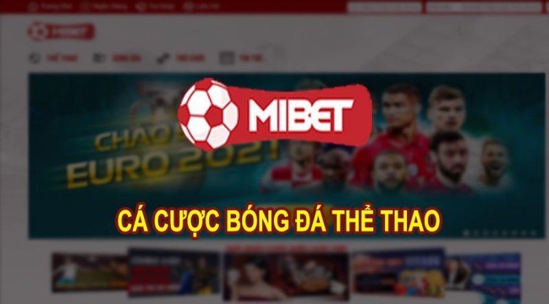 Mibet - Trang cá cược thể thao uy tín hàng đầu